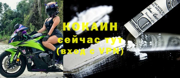 МДПВ Липки