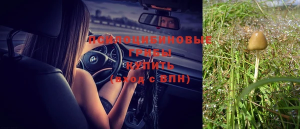 индика Лиски