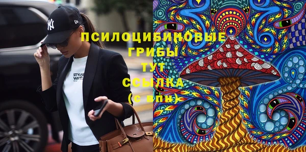 индика Лиски