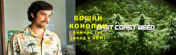 индика Лиски