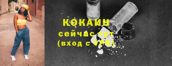 МДПВ Липки