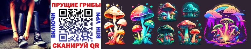 Псилоцибиновые грибы Psilocybe  Купить закладки  Котовск 